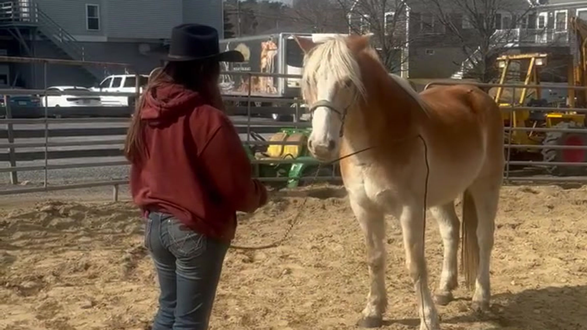 Is Your Horse Easily Spooked?